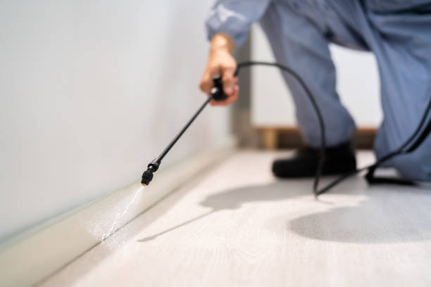 Licensed Cockroach Control service in Hamshire, TX - Nex Pest Control