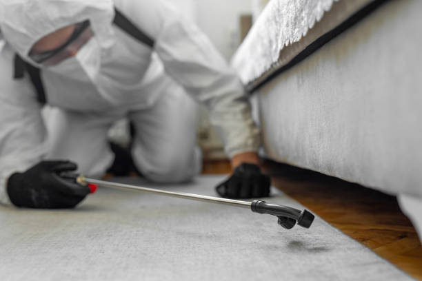 Professional Cockroach Control technician working in Hamshire, TX