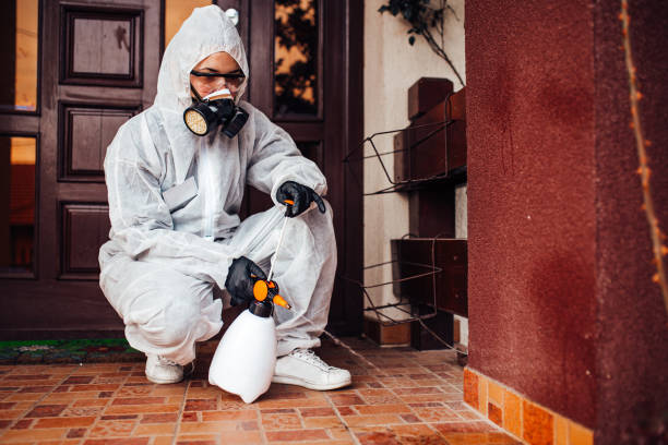 Reliable Cockroach Control contractor in Hamshire, TX by Nex Pest Control